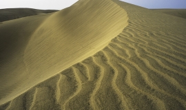 Wave dune