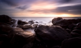 DSC01065_X