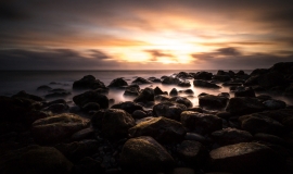 DSC01128_X