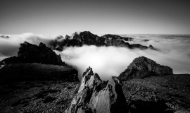 DSC01569_X