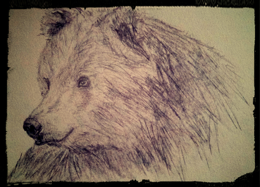 Weekly Drawings #2